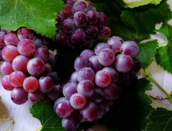 45c3a739-9a26-41ce-b920-23d878d5b5fe 1